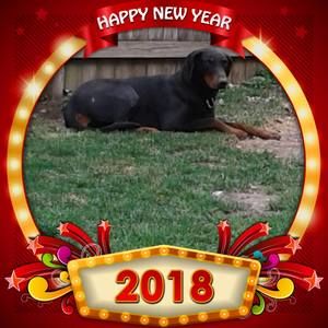 Meet your Posher, Rey